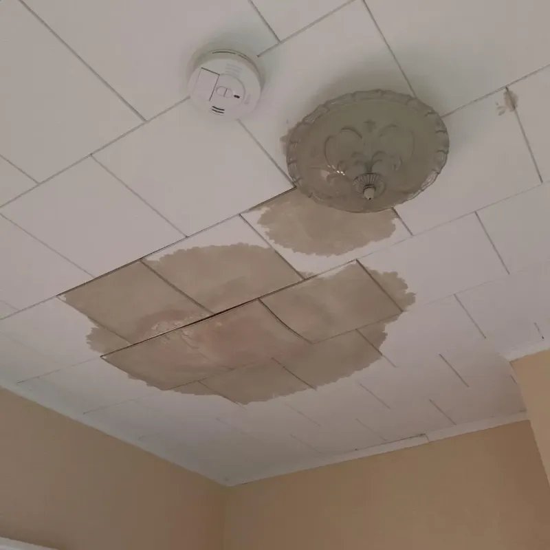 Ceiling Water Damage Repair in Fairchance, PA