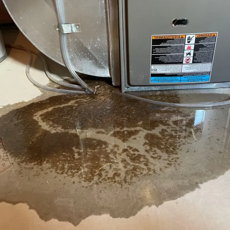 Pipe Burst and Leak Restoration in Fairchance, PA
