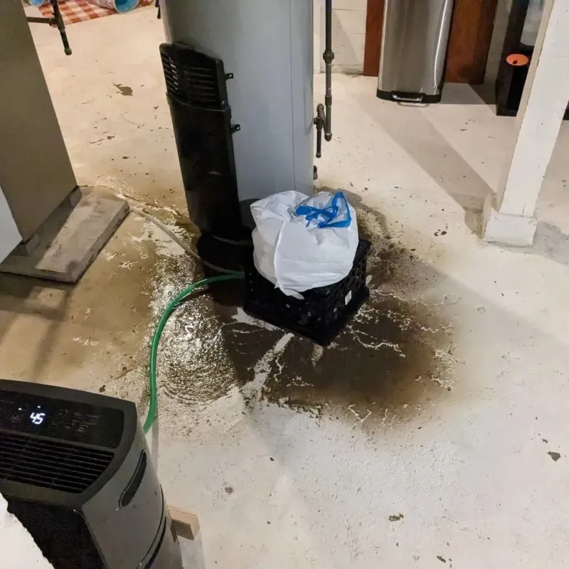 Sewage Backup Cleanup Service in Fairchance, PA
